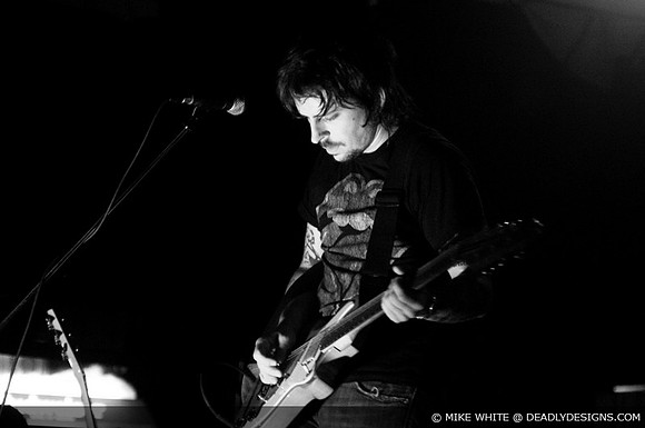 Summerbirds in the Cellar