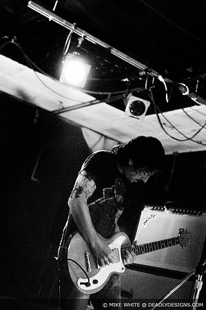 Summerbirds in the Cellar