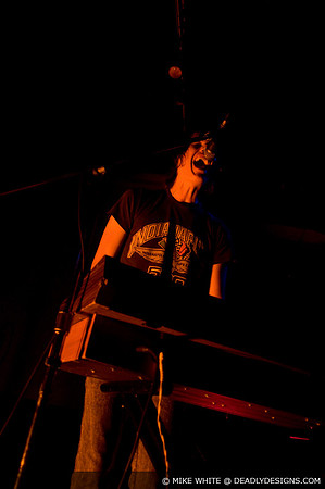 Summerbirds in the Cellar
