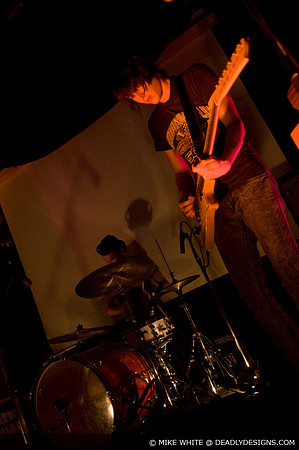 Summerbirds in the Cellar