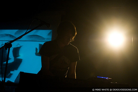 Summerbirds in the Cellar