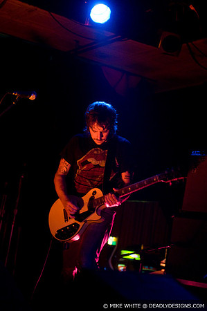 Summerbirds in the Cellar