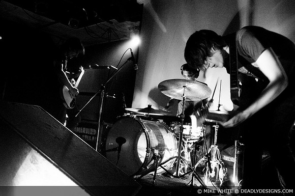 Summerbirds in the Cellar