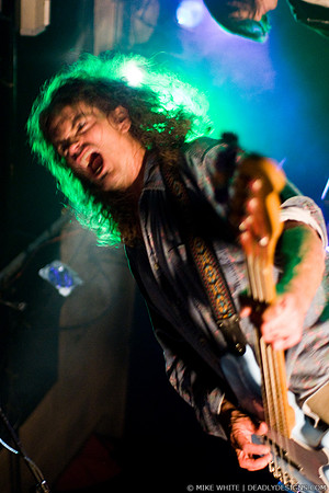 Meat Puppets