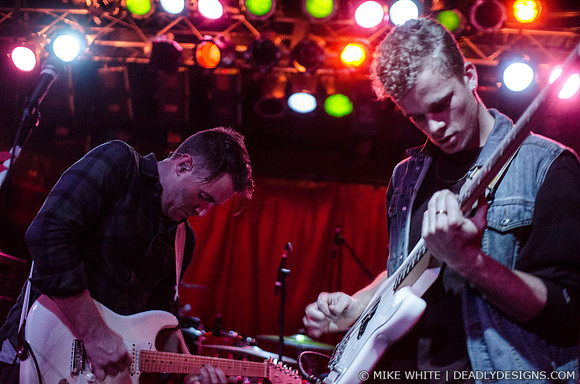 Wild Cub