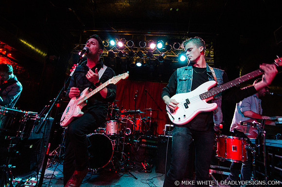 Wild Cub