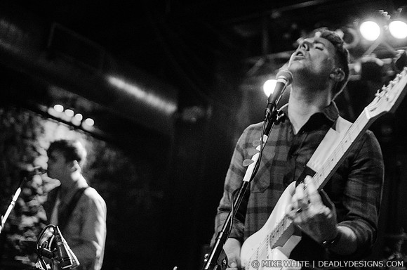 Wild Cub