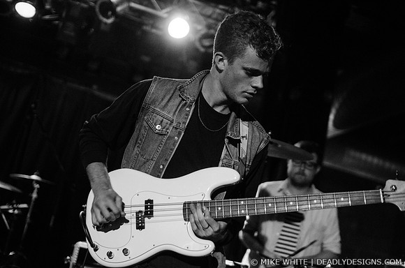 Wild Cub