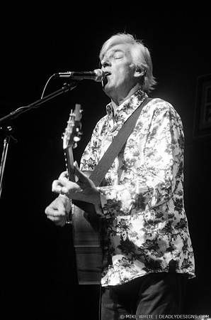 Robyn Hitchcock