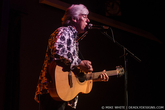 Robyn Hitchcock