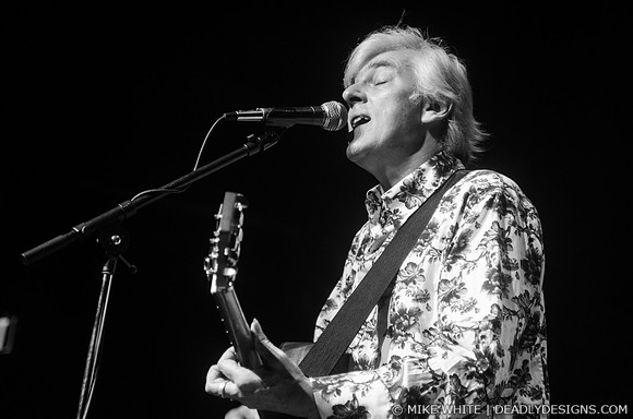 Robyn Hitchcock