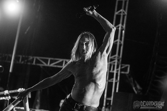 Iggy Pop