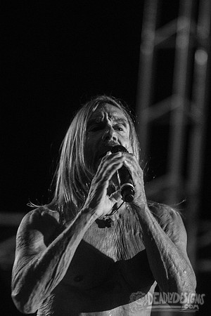 Iggy Pop