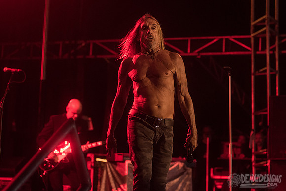 Iggy Pop
