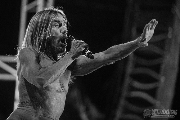 Iggy Pop