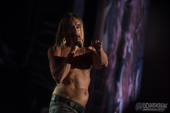 Iggy Pop