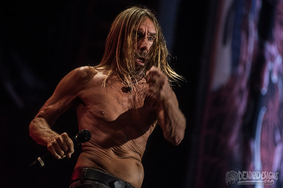 Iggy Pop