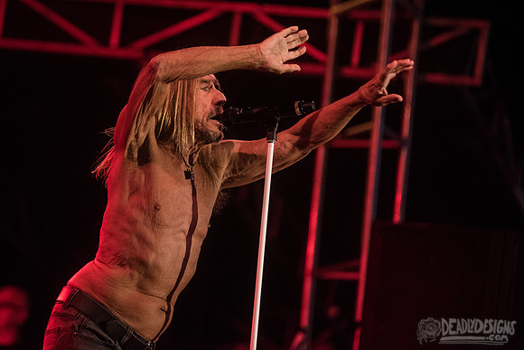 Iggy Pop