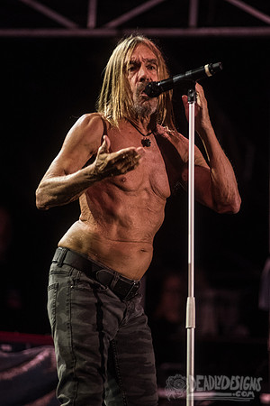 Iggy Pop