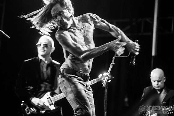 Iggy Pop