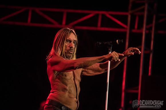 Iggy Pop