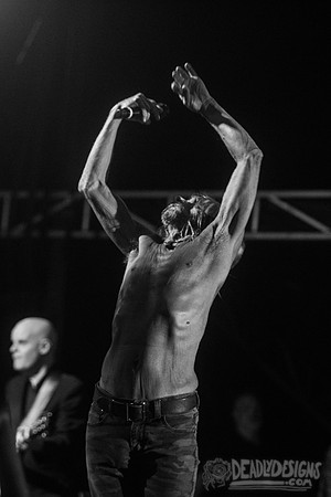 Iggy Pop