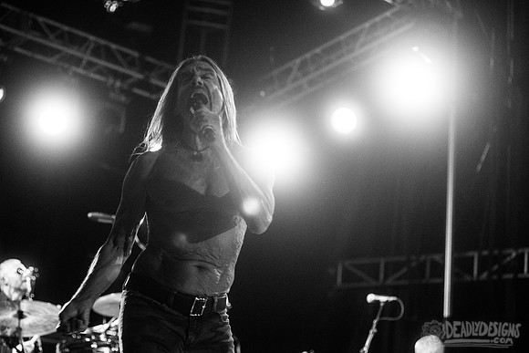 Iggy Pop