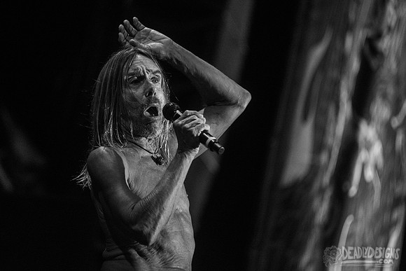 Iggy Pop