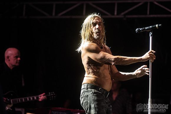 Iggy Pop