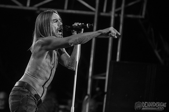 Iggy Pop