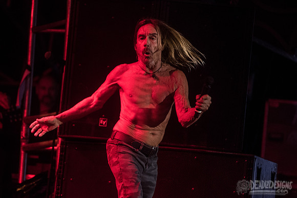 Iggy Pop