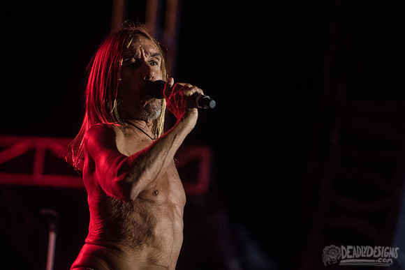 Iggy Pop