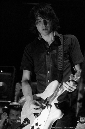 Summerbirds in the Cellar