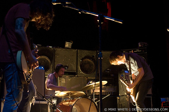 Summerbirds in the Cellar