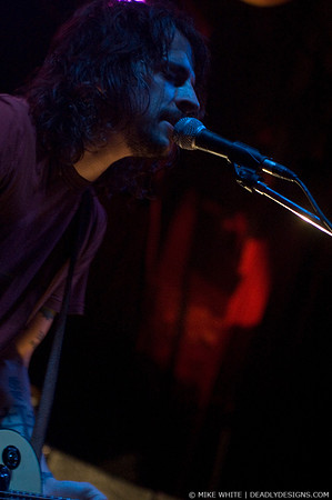 Summerbirds in the Cellar