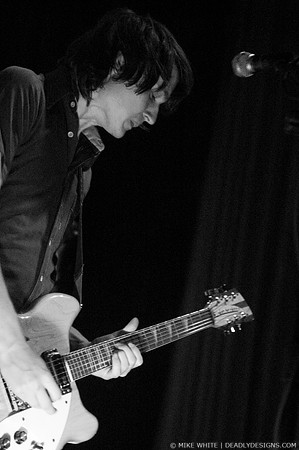 Summerbirds in the Cellar