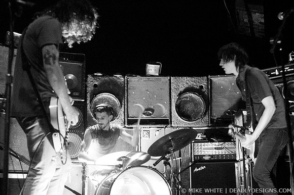 Summerbirds in the Cellar
