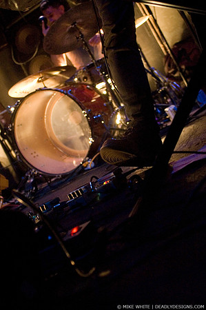 Summerbirds in the Cellar