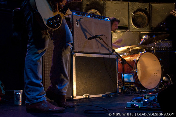 Summerbirds in the Cellar