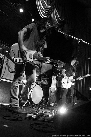 Summerbirds in the Cellar