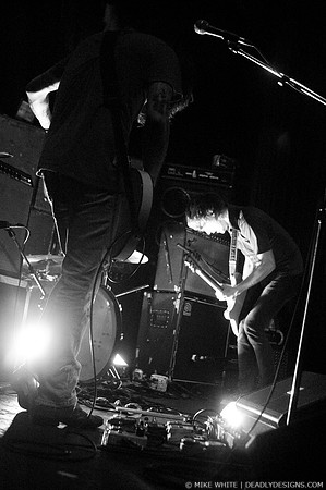 Summerbirds in the Cellar
