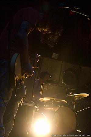 Summerbirds in the Cellar