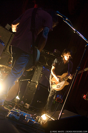 Summerbirds in the Cellar