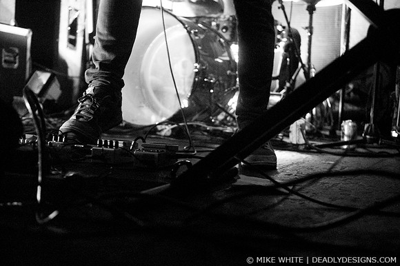 Summerbirds in the Cellar