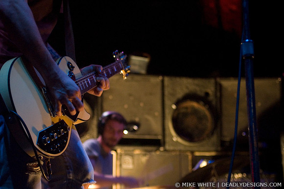 Summerbirds in the Cellar