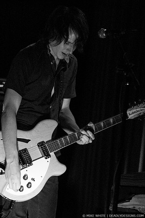 Summerbirds in the Cellar