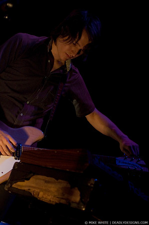 Summerbirds in the Cellar