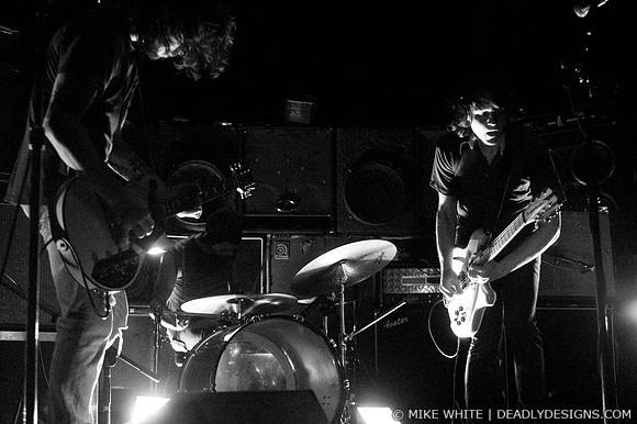 Summerbirds in the Cellar