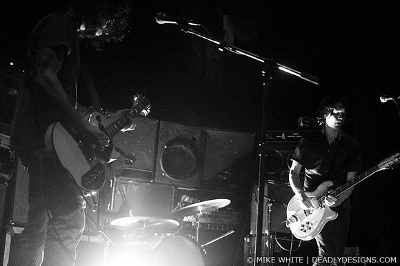 Summerbirds in the Cellar