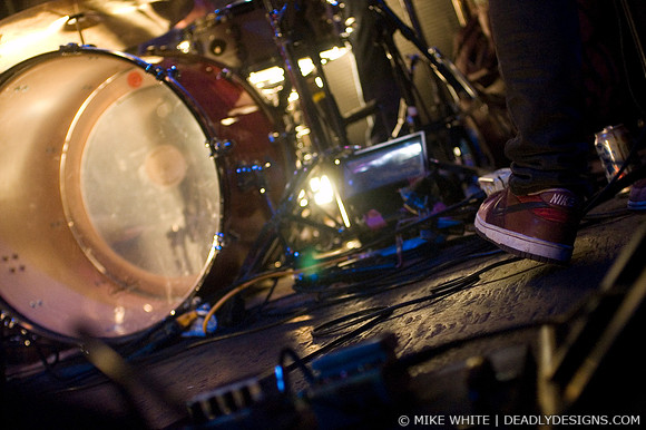 Summerbirds in the Cellar